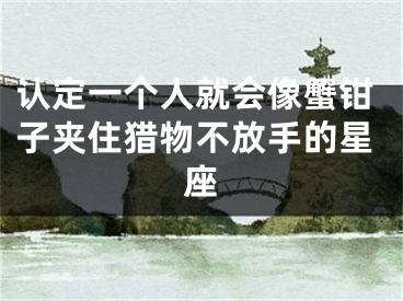 认定一个人就会像蟹钳子夹住猎物不放手的星座