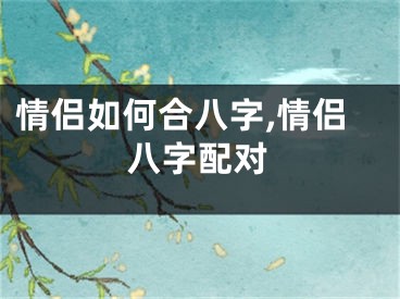 情侣如何合八字,情侣八字配对