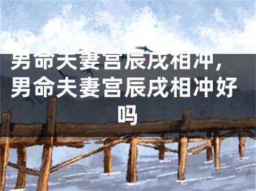 男命夫妻宫辰戌相冲,男命夫妻宫辰戌相冲好吗