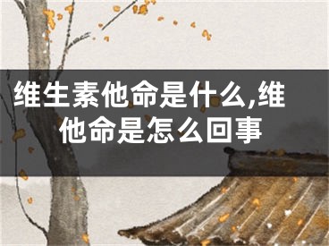维生素他命是什么,维他命是怎么回事