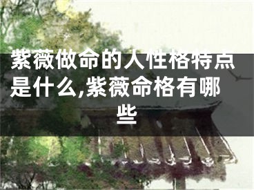 紫薇做命的人性格特点是什么,紫薇命格有哪些