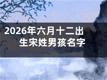 2026年六月十二出生宋姓男孩名字