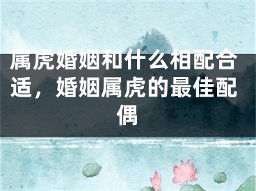 属虎婚姻和什么相配合适，婚姻属虎的最佳配偶