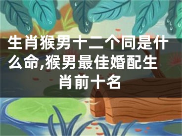 生肖猴男十二个同是什么命,猴男最佳婚配生肖前十名