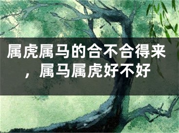 属虎属马的合不合得来，属马属虎好不好
