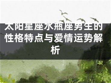 太阳星座水瓶座男生的性格特点与爱情运势解析
