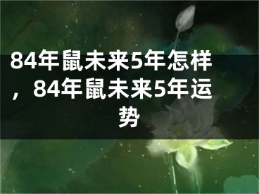 84年鼠未来5年怎样,84年鼠未来5年运势
