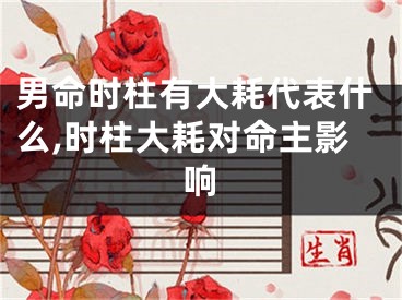 男命时柱有大耗代表什么,时柱大耗对命主影响