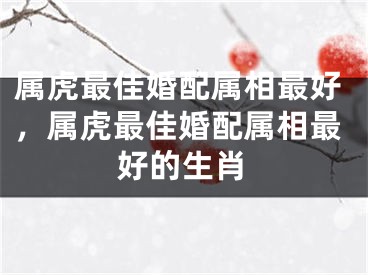 属虎最佳婚配属相最好，属虎最佳婚配属相最好的生肖