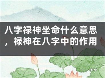 八字禄神坐命什么意思，禄神在八字中的作用