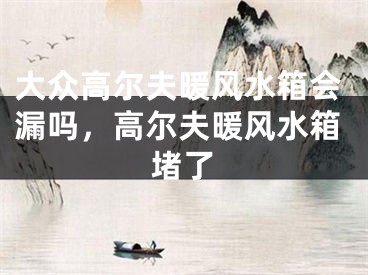 大众高尔夫暖风水箱会漏吗，高尔夫暖风水箱堵了