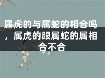 属虎的与属蛇的相合吗，属虎的跟属蛇的属相合不合