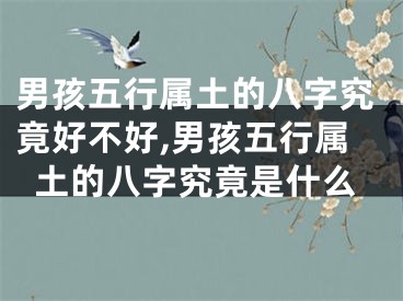 男孩五行属土的八字究竟好不好,男孩五行属土的八字究竟是什么