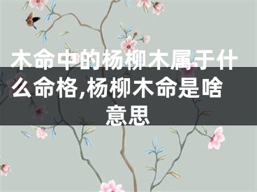 木命中的杨柳木属于什么命格,杨柳木命是啥意思
