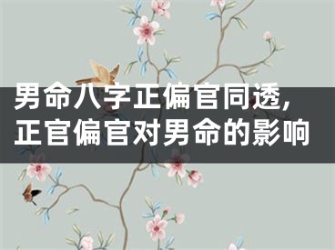 男命八字正偏官同透,正官偏官对男命的影响