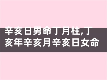 辛亥日男命丁月柱,丁亥年辛亥月辛亥日女命