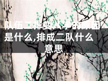 队伍二排变八字的原因是什么,排成二队什么意思