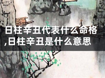 日柱辛丑代表什么命格,日柱辛丑是什么意思