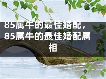 85属牛的最佳婚配，85属牛的最佳婚配属相