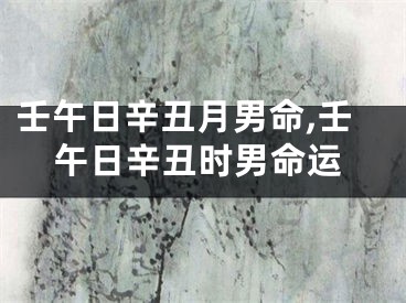 壬午日辛丑月男命,壬午日辛丑时男命运
