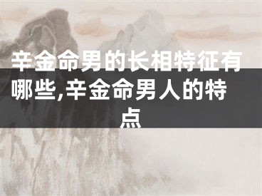 辛金命男的长相特征有哪些,辛金命男人的特点