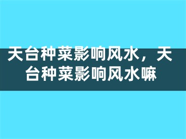 天台种菜影响风水，天台种菜影响风水嘛
