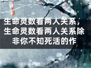 生命灵数看两人关系，生命灵数看两人关系除非你不知死活的作