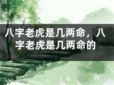 八字老虎是几两命，八字老虎是几两命的