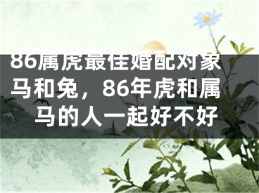 86属虎最佳婚配对象马和兔，86年虎和属马的人一起好不好