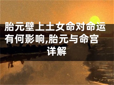 胎元壁上土女命对命运有何影响,胎元与命宫详解