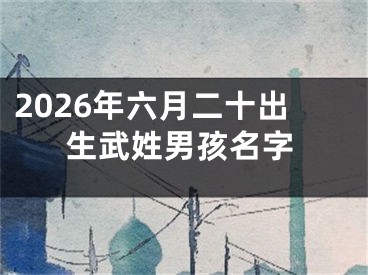2026年六月二十出生武姓男孩名字