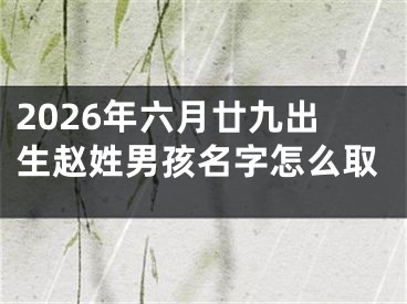 2026年六月廿九出生赵姓男孩名字怎么取