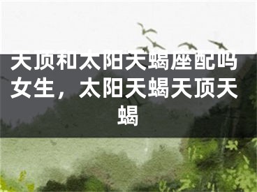 天顶和太阳天蝎座配吗女生，太阳天蝎天顶天蝎