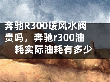 奔驰R300暖风水阀贵吗，奔驰r300油耗实际油耗有多少