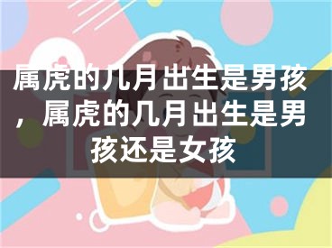属虎的几月出生是男孩，属虎的几月出生是男孩还是女孩
