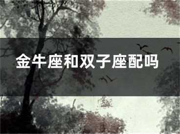 金牛座和双子座配吗
