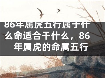86年属虎五行属于什么命适合干什么，86年属虎的命属五行