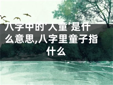 八字中的‘人童’是什么意思,八字里童子指什么