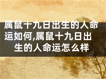 属鼠十九日出生的人命运如何,属鼠十九日出生的人命运怎么样