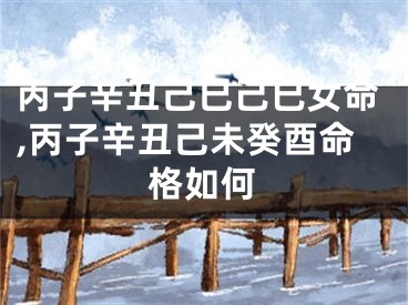 丙子辛丑己巳己巳女命,丙子辛丑己未癸酉命格如何