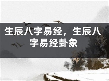 生辰八字易经，生辰八字易经卦象