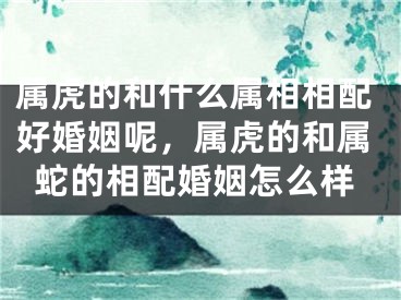 属虎的和什么属相相配好婚姻呢，属虎的和属蛇的相配婚姻怎么样
