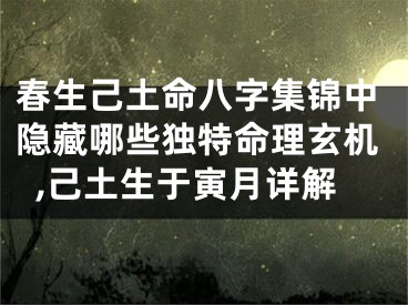 春生己土命八字集锦中隐藏哪些独特命理玄机,己土生于寅月详解