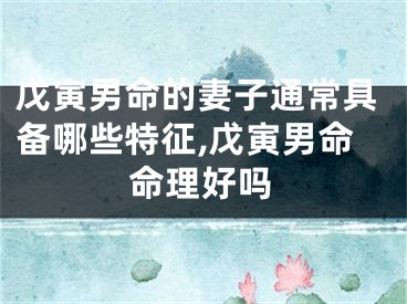 戊寅男命的妻子通常具备哪些特征,戊寅男命命理好吗