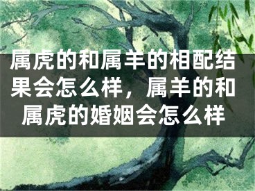 属虎的和属羊的相配结果会怎么样，属羊的和属虎的婚姻会怎么样