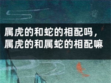 属虎的和蛇的相配吗，属虎的和属蛇的相配嘛