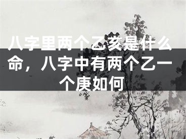 八字里两个乙亥是什么命,八字中有两个乙一个庚如何