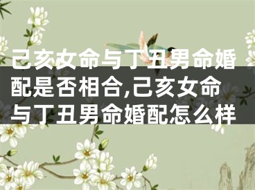 己亥女命与丁丑男命婚配是否相合,己亥女命与丁丑男命婚配怎么样