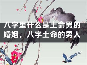 八字里什么是土命男的婚姻，八字土命的男人