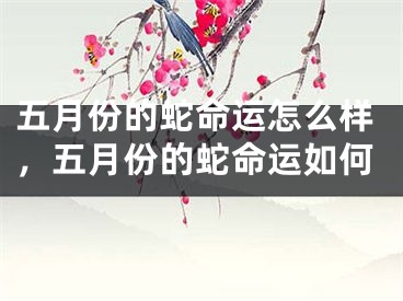 五月份的蛇命运怎么样，五月份的蛇命运如何